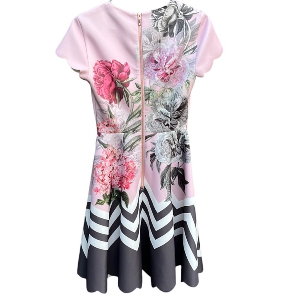 EUC Ted Baker Haiilie Floral Skater Fit & Flare
Dress Scallop Hem Size 0 - Picture 8 of 11